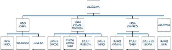 BNI organigrama